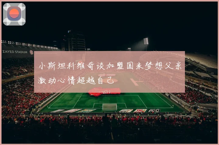 小斯坦科维奇谈加盟国米梦想父亲激动心情超越自己