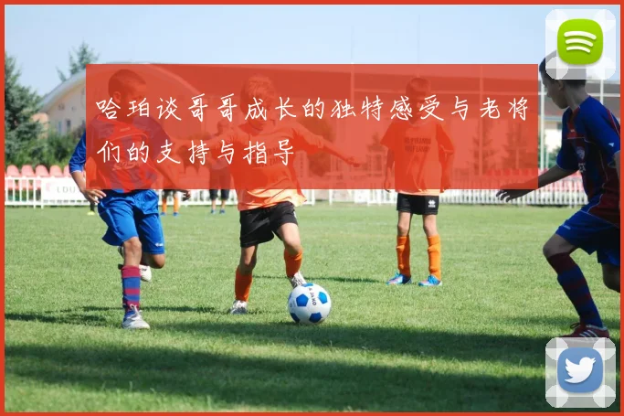哈珀谈哥哥成长的独特感受与老将们的支持与指导